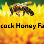 Hancock Honey Farms Business Logo